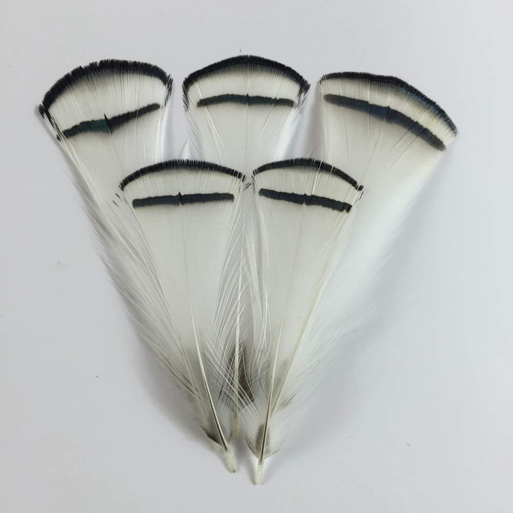 Shekyeon 50pcs White Lady Amherst Pheasant Feathers 2-4 Inches for Craft Plumage Feather for Home Wedding Decoration