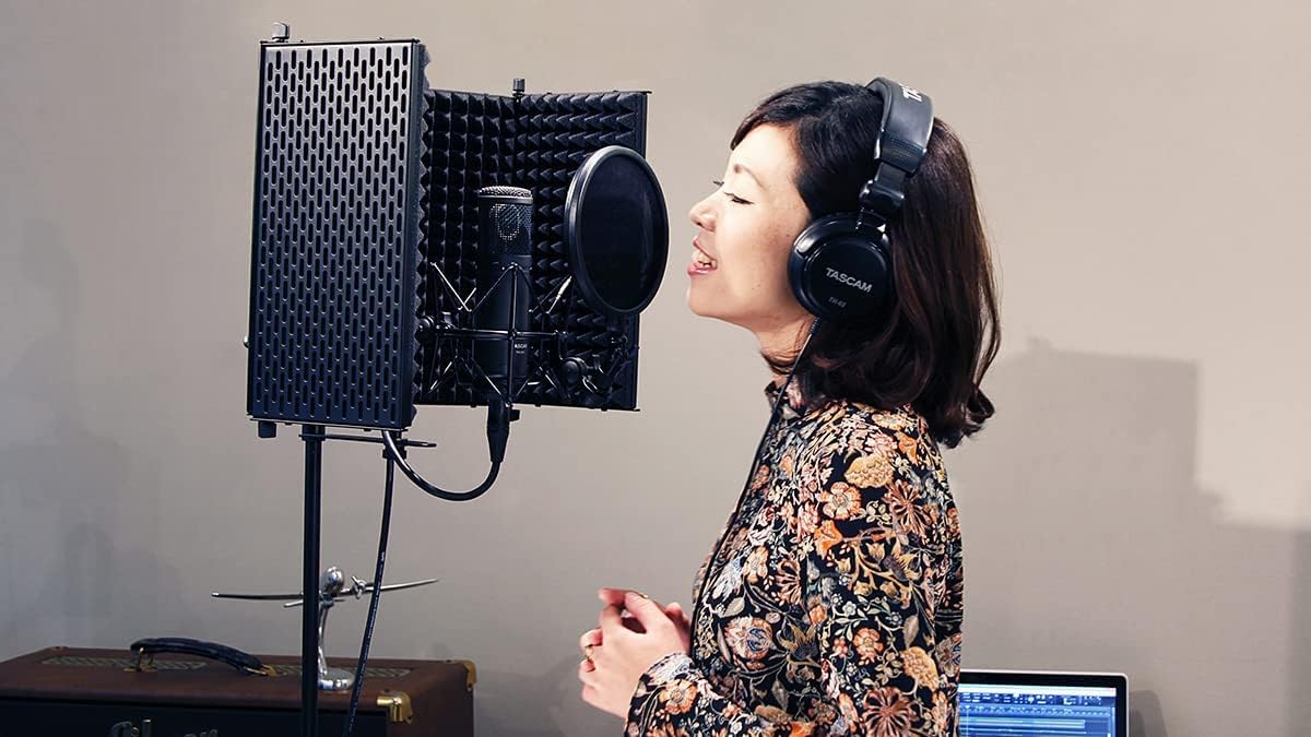 Amazon.com: Tascam TM-280 Studio Microphone with Flight Case