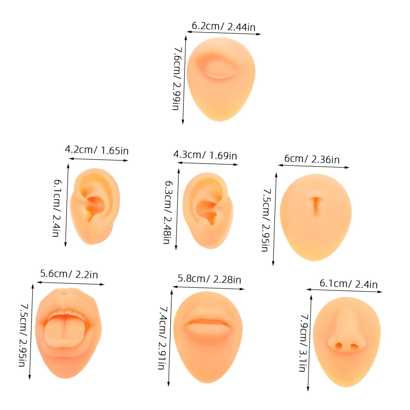 SOESFOUFU Realistic Piercing Practice Tool 7pcs Silicone Face Model for Display and Training