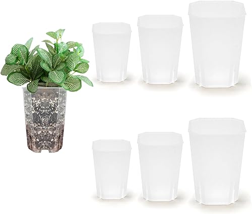 Tomsurch Maceta de orquídeas, 2 macetas transparentes de 2.75, 3.55 y 4.73 pulgadas para trasplantar, maceta de plástico para orquídeas para