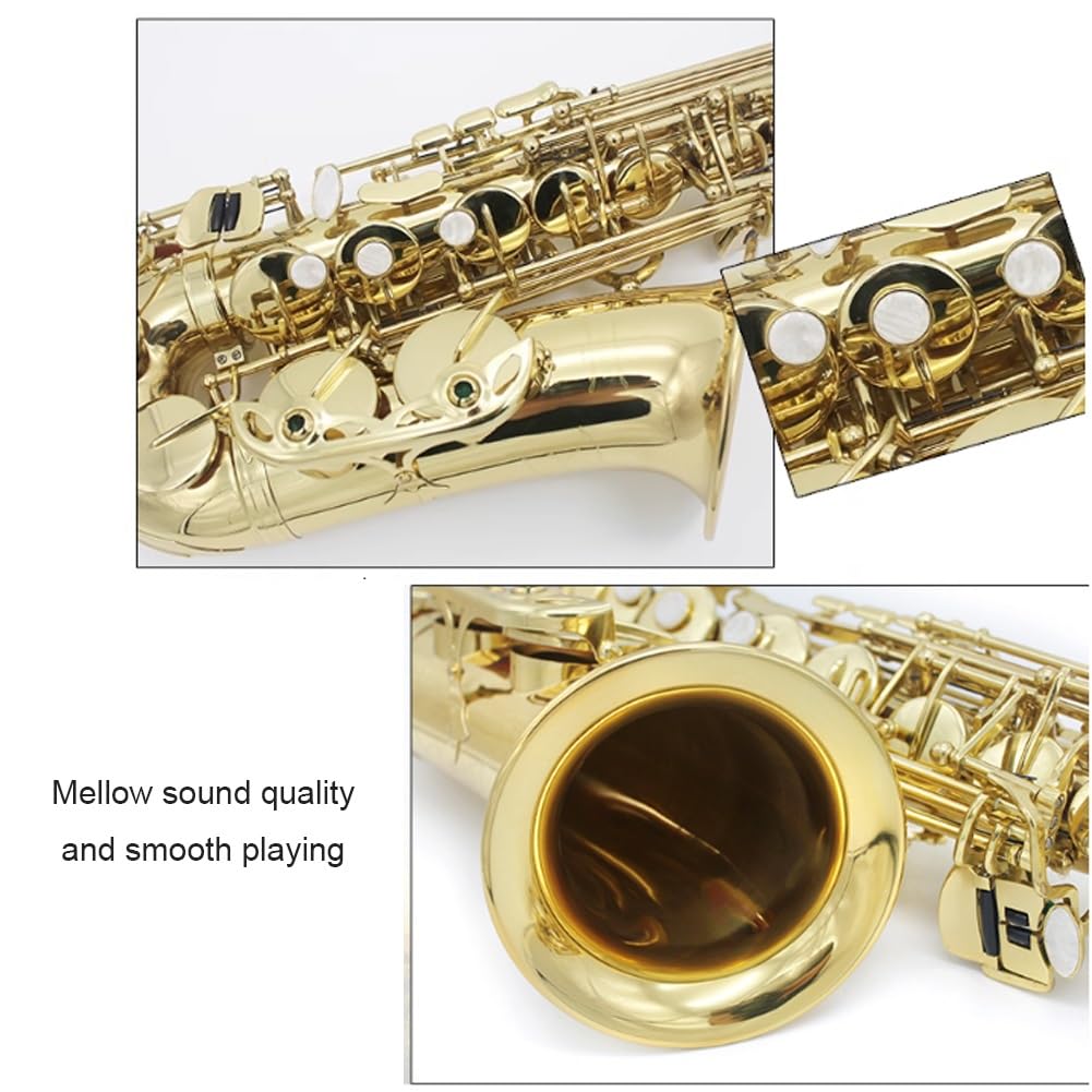 Sassofono professionale Alto Mib Sassofono contralto Ottone laccato Lacca dorata E Sax piatto Strumento a fiato con accessori