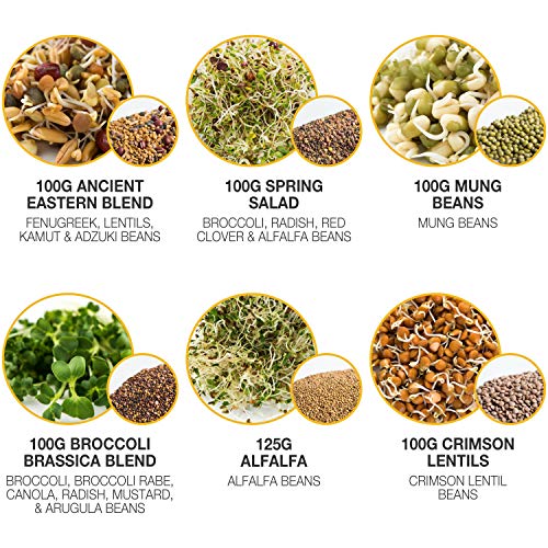 Mumm's Sprouting Seeds - Starter Sample Pack - 625 GR - Organic Sprout Seed Kit - Broccoli, Radish, Alfalfa, Mung Bean - Thumbnail 2