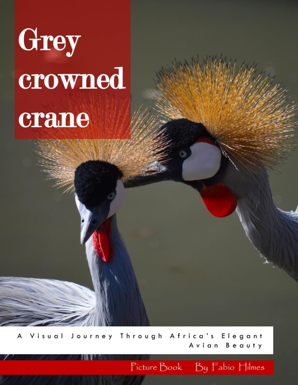 Grey Crowned Crane: A Visual Journey Through Africa's Elegant Avian Beauty – Stunning Wildlife Photography for Nature Lovers & Birdwatchers (Animal Coffee Table Books)