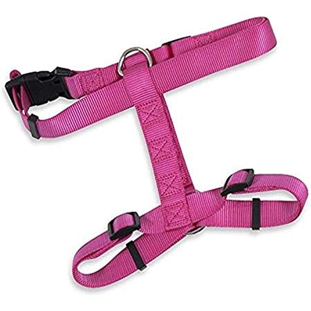 aspen dog harness