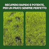 LERAVA B0CYPR911H lato 4