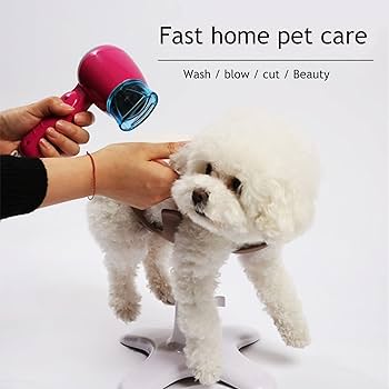 新品未使用 Samson 小型犬用 グルーミングチェア 新品未使用 Samson 小型犬用 グルーミングチェア 2台あり