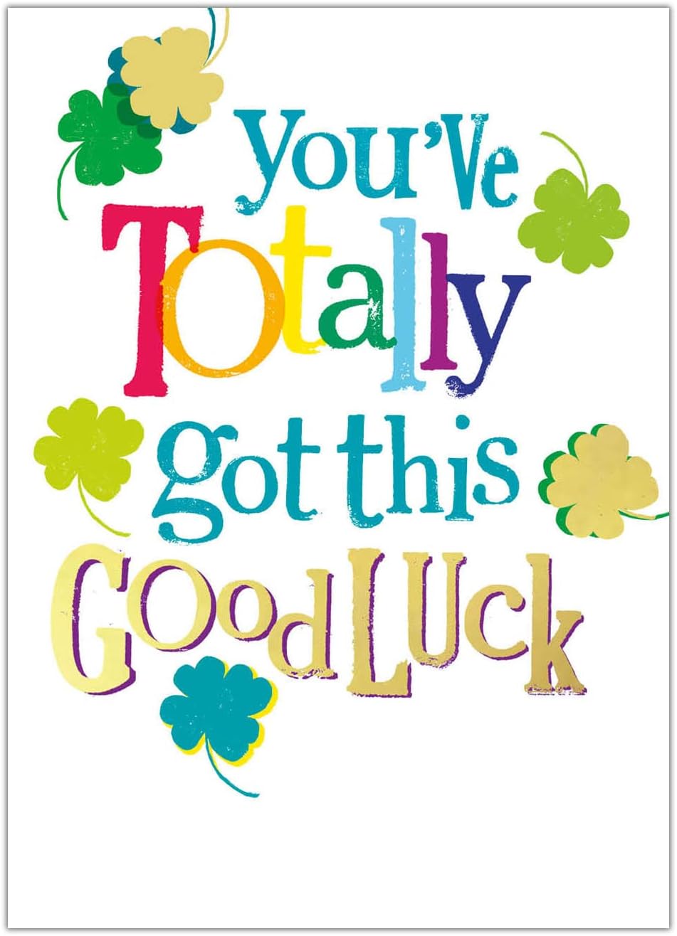 Amazon Danilo Promotions LTD You Totally Got This Good Luck Good amazon-danilo-promotions-ltd-you-totally-got-this-good-luck-good