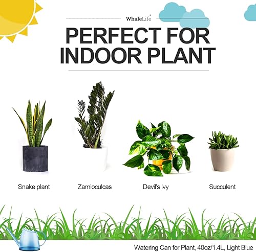 Miniatura 100 de WhaleLife Regadera interior para plantas de bonsái de casa (1.4L, verde)