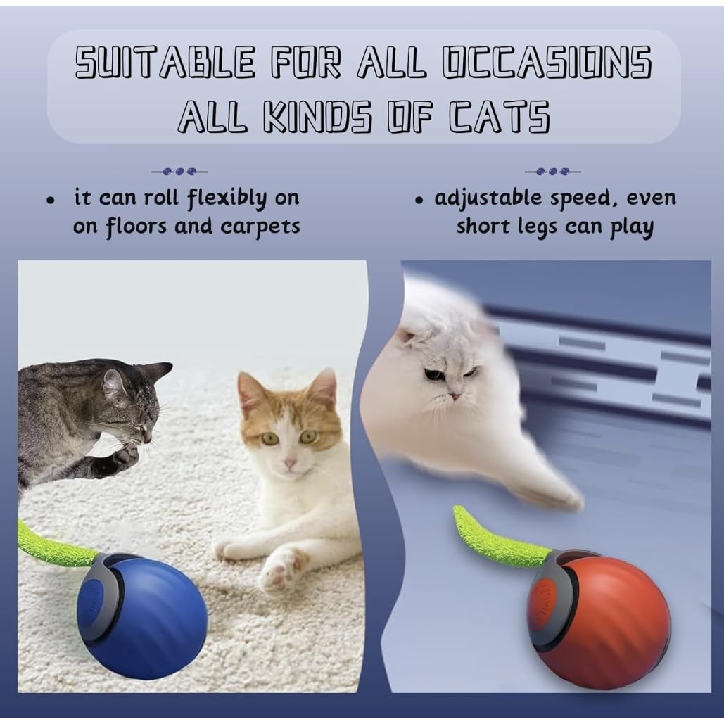 Speediest Tail 2.0 Katzenspielzeug, interaktives Katzenspielzeug, Katzenspielzeug für Indoor-Katzen, Chewie viraler Katzenball, verstellbares Sport-Rollspielzeug, elektrischer Rollball