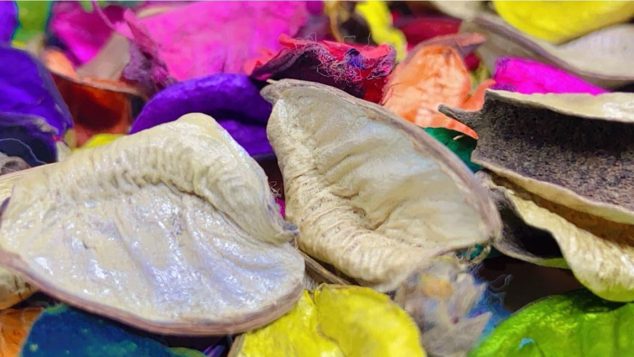 FLFWLASS- Potpourri Flowers Leaves (Without Fragrance) for Home Decor, Decoration Decorative Dry Leaves, Dry Flower Leaves (Multicolor) (1 Kg), Standar