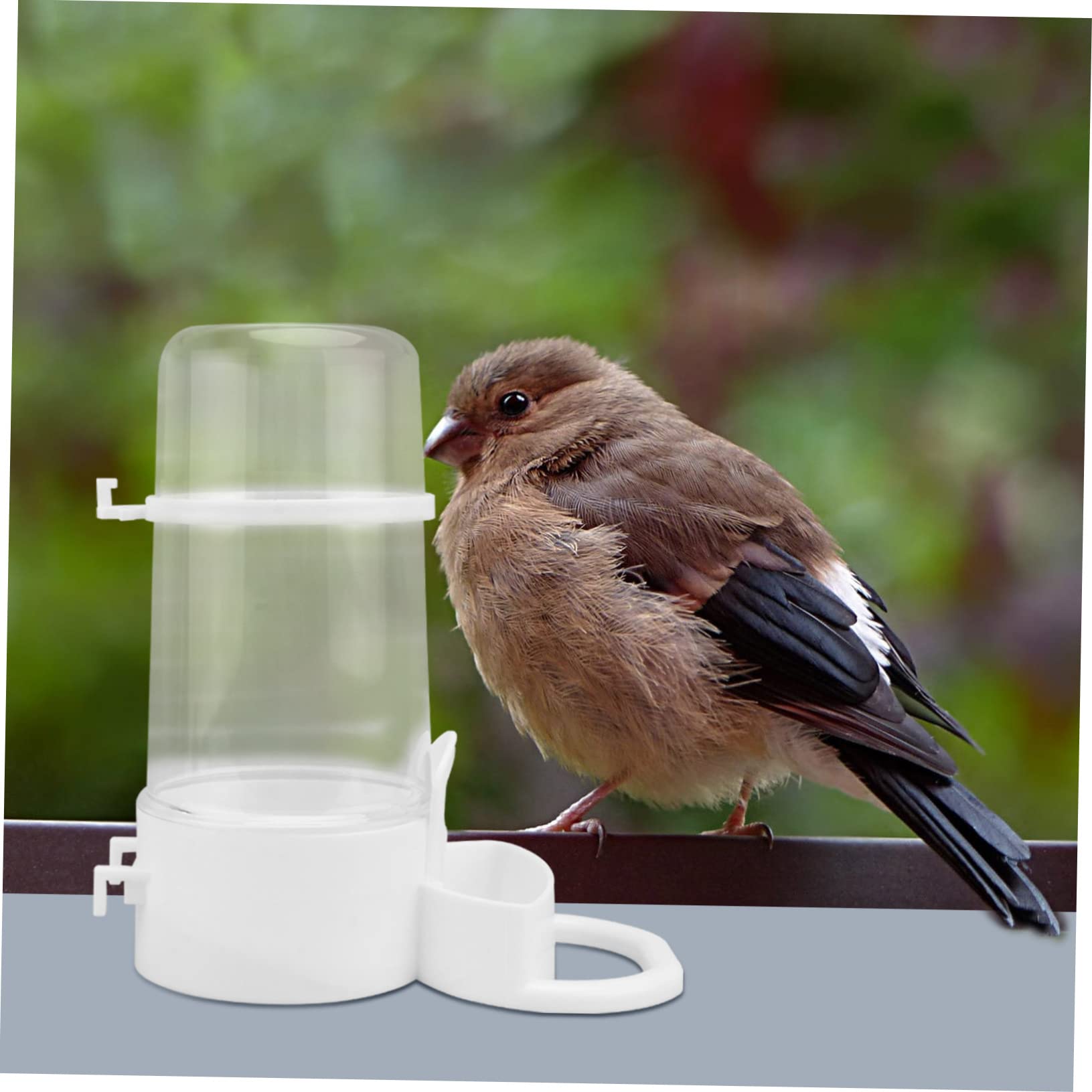 HANABASS 8pièces Distributeur Automatique Eau pour Oiseaux Abreuvoirs Étanches pour Volaille Gamelles Pratiques pour Poules Et Oiseaux Domestiques Faciles à Installer Nettoyer