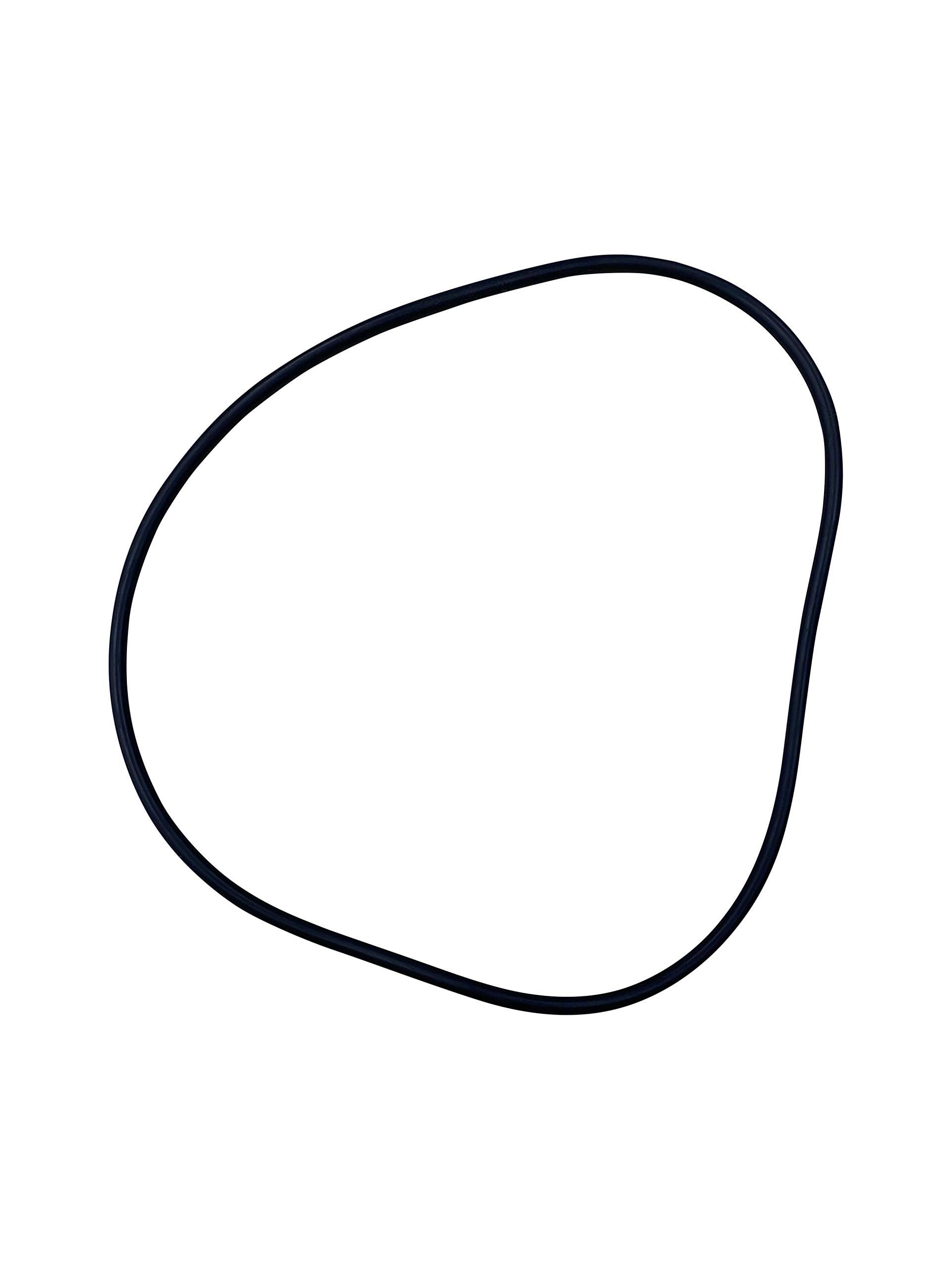 Replacement Seal Ring O-Ring for External Canister Filters HW or EF Series APS (2000l/h (HW-704) or EF2000)