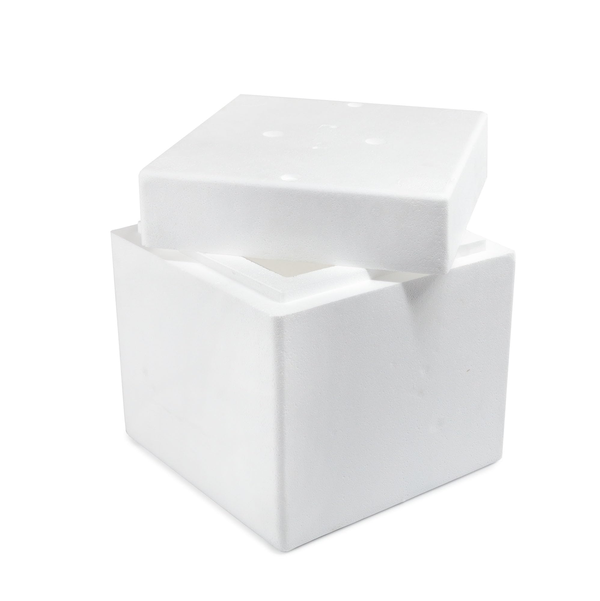 Generico Scatola Termica - Cassa in polistirolo con coperchio | Dimensioni Interne 23x23x22 cm - Spessore pareti 5 cm - Capacità 12 litri
