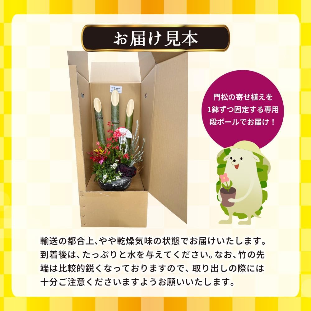 Amazon.co.jp: 正月飾り 門松『 お正月寄せ植え 』 単品1個（正月飾り