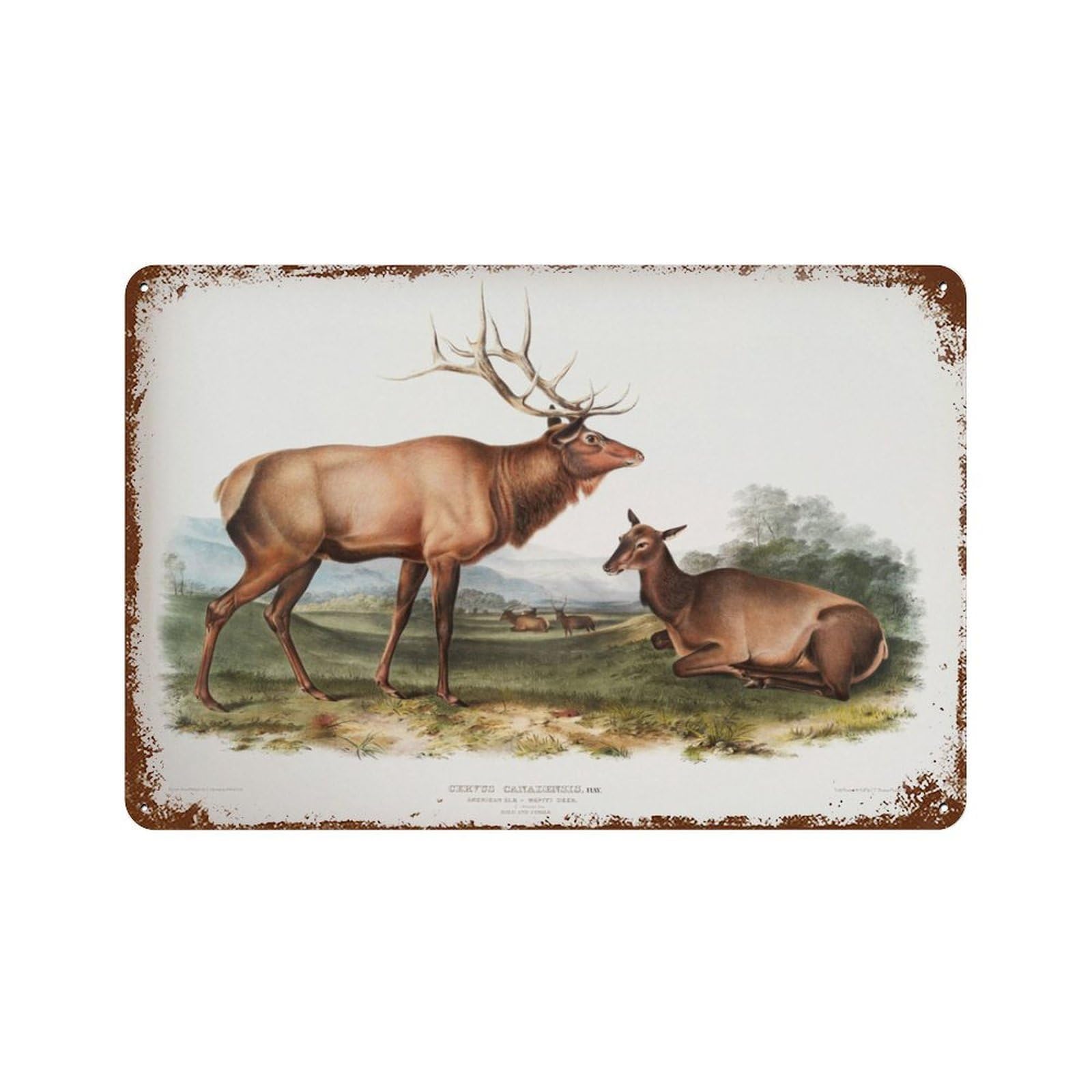 xiaoxiaoshen Vintage Moose Woodland Nursery Decor Wall Decor Art Metal Tin Poster Modern Home Decor Art Home Bar Shop Decorations Vintage Sign 20x30cm