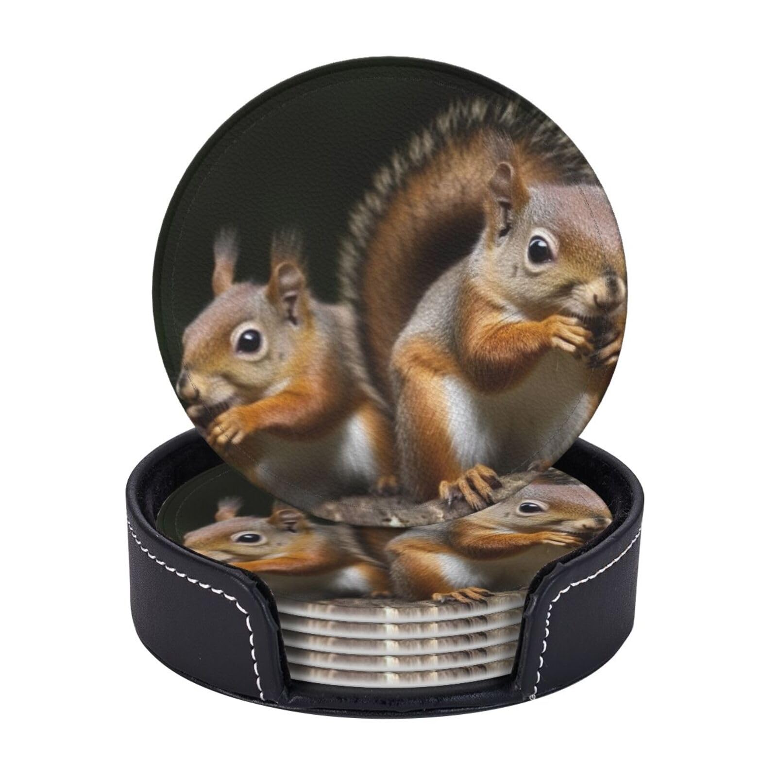 Leather Coasters for Drinks Set of 6, Squirrel Animal Coaster with Holder,Non-Slip Cups Mugs Mat Pad Funny Round Coasters for Tabletop Protection Desk Accessories Office Home Room Decor