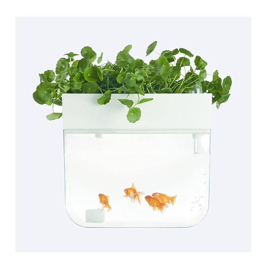 Amazon | アクアリウム 水槽セットアクアポニックス小型水槽