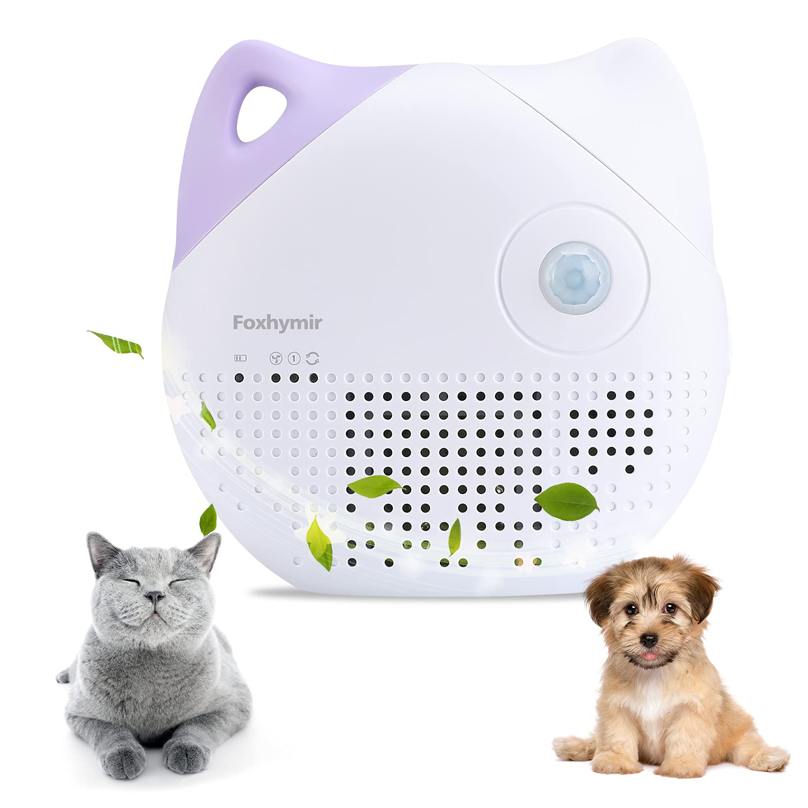 Do Dog Litter Boxes Smell