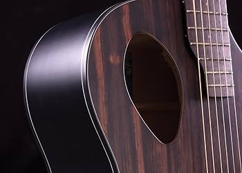 Amazon | Michael Kelly Electro 6 String Acoustic-Electric