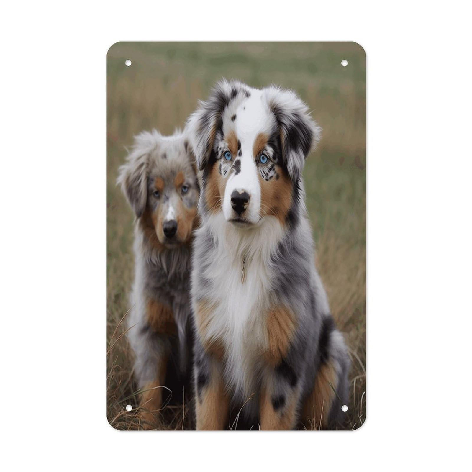 Australian Shepherd Metal Tin Sign Funny Vintage Metal Signs Metal Art Poster Man Cave Decor Retro Tin Sign for Home Office Kitchen Bar Cafe Garden Wall Decor 11.8 X 7.9 Inch
