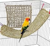 Bird Seagrass Mat,Natural Seagrass Woven Net Bird Foraging Chew Wall Toys Parakeet Hammock Mat with Hooks for Lovebird Cockatiel Conure Budgie,Size 28.3' X 6.7' and 11.81' X 11.81'(2 Pcs)