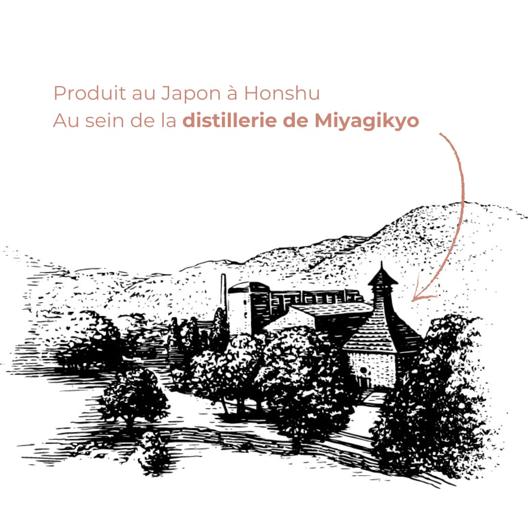 NIKKA - Coffey Grain, sans étui, Whisky Japonais, Single Grain - Notes de Miel & Epices - Origine : Japon/Honshu-Miyagi - 45 % Alcool - 70 cl - 4