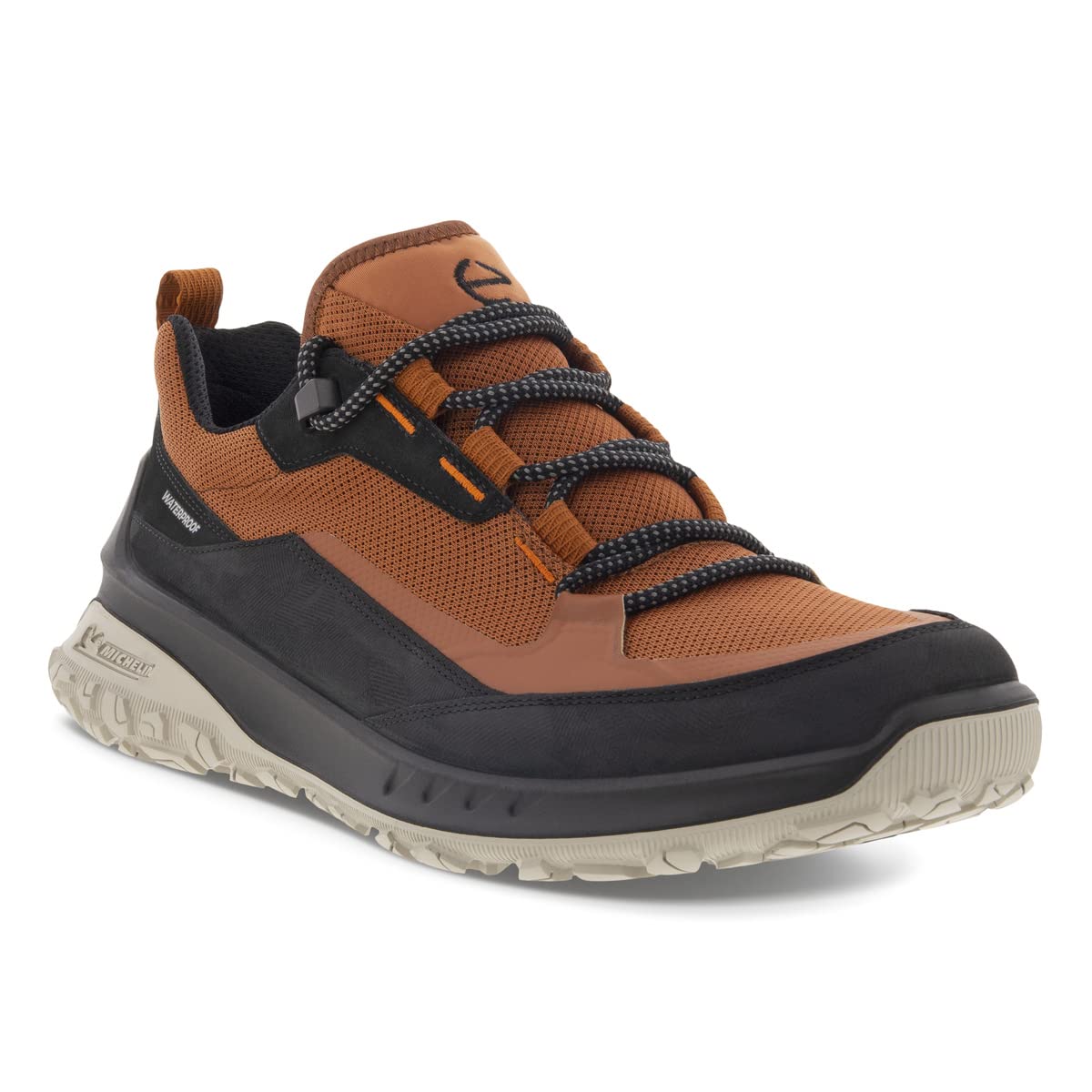 Ecco Ult Trn M Low Wp Mens Outdoor Shoe Desertcart INDIA
