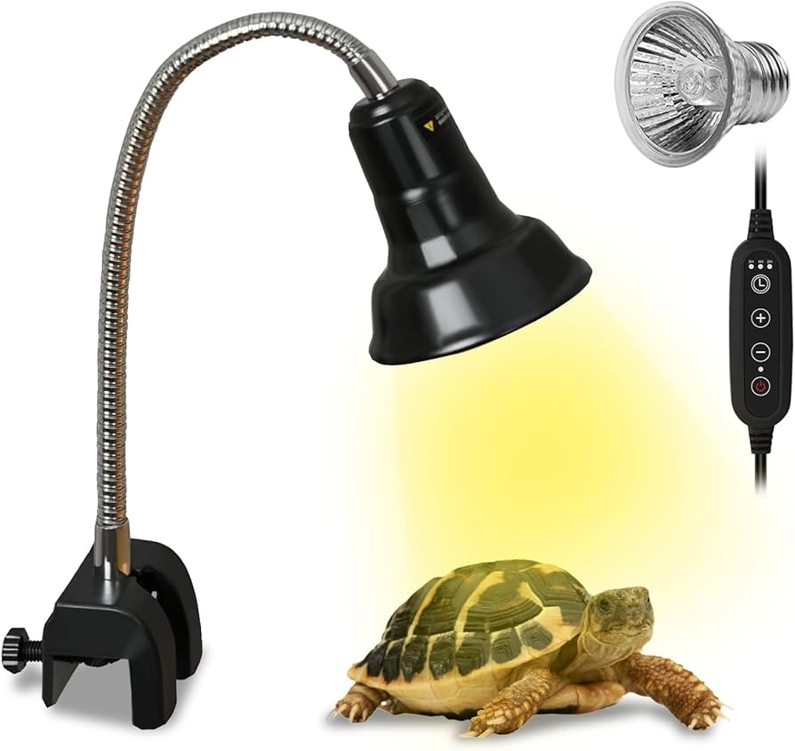 爬虫類 リクガメ 亀 魚 熱帯魚水槽 ビオトープ 60cm 蛍光灯付き 爬虫類