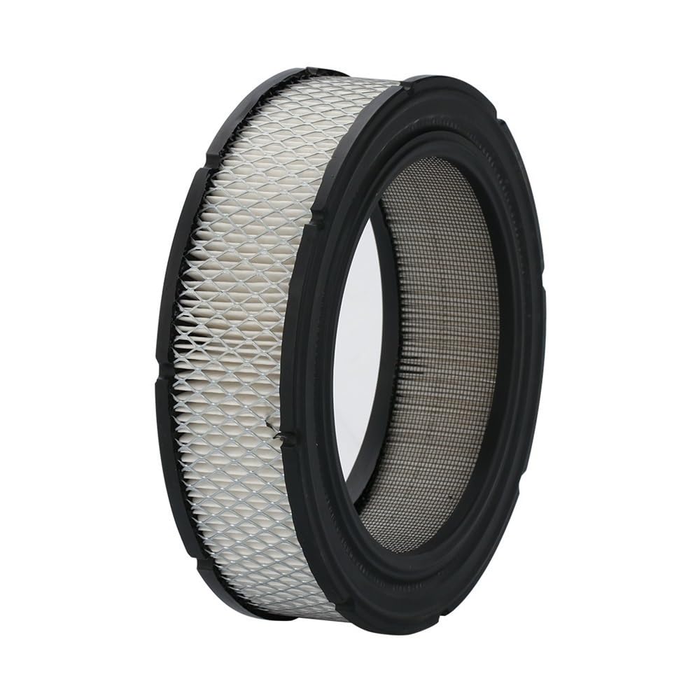 Filtre à air pour Briggs Stratton 692519 692520 806232