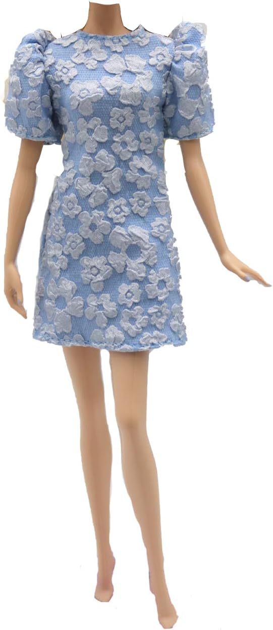 Doll Clothes, 5 Sets Outfits Spring Dresses Pants Windbreaker Hat for 11.5 inch Dolls Accessories Random Style (C)