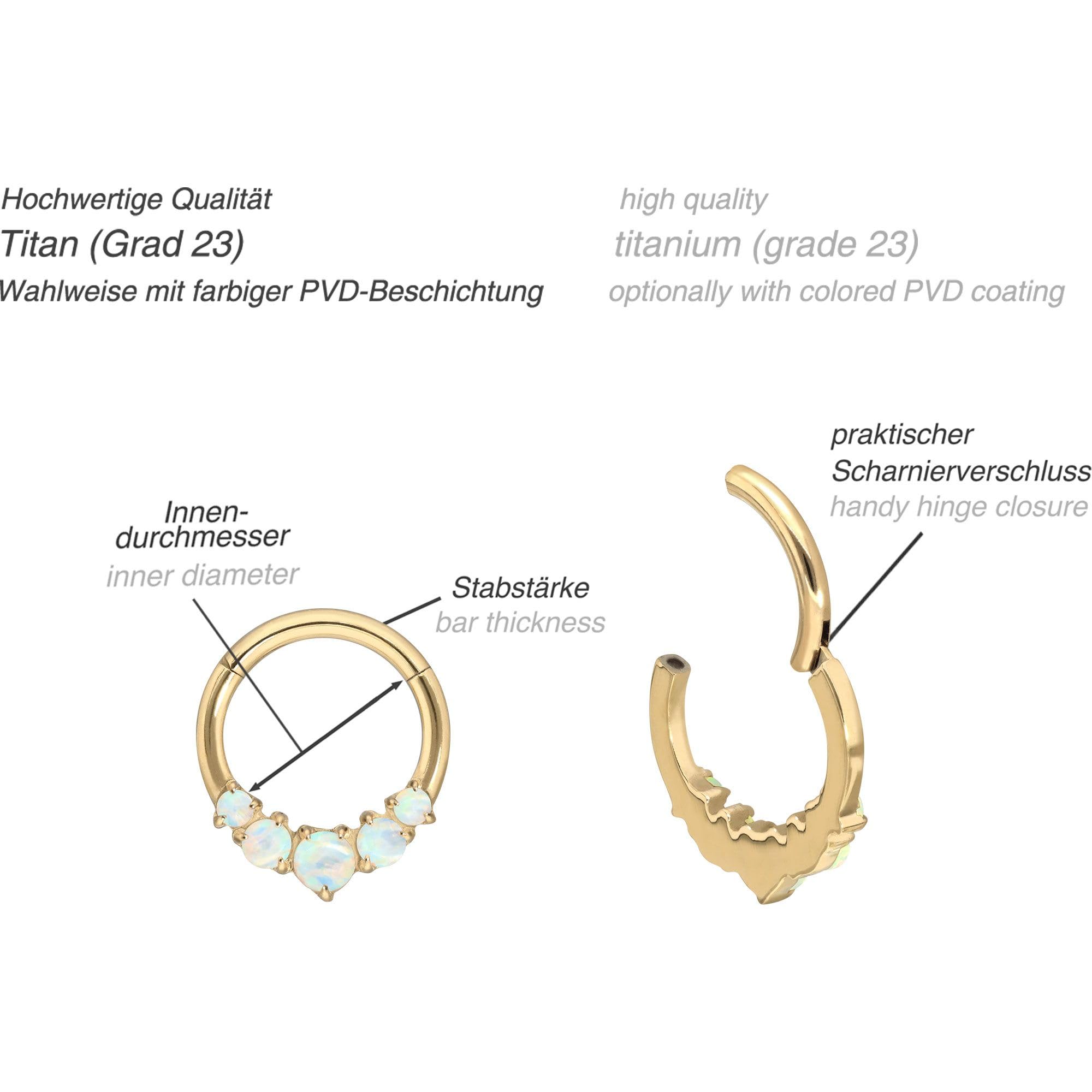 PIERCINGLINE Piercing Ring Titan Segmentring Clicker 5 SYNTHETISCHE OPALE - Roségoldfarben, Schwarz, Goldfarben, Weiß, Silberfarben