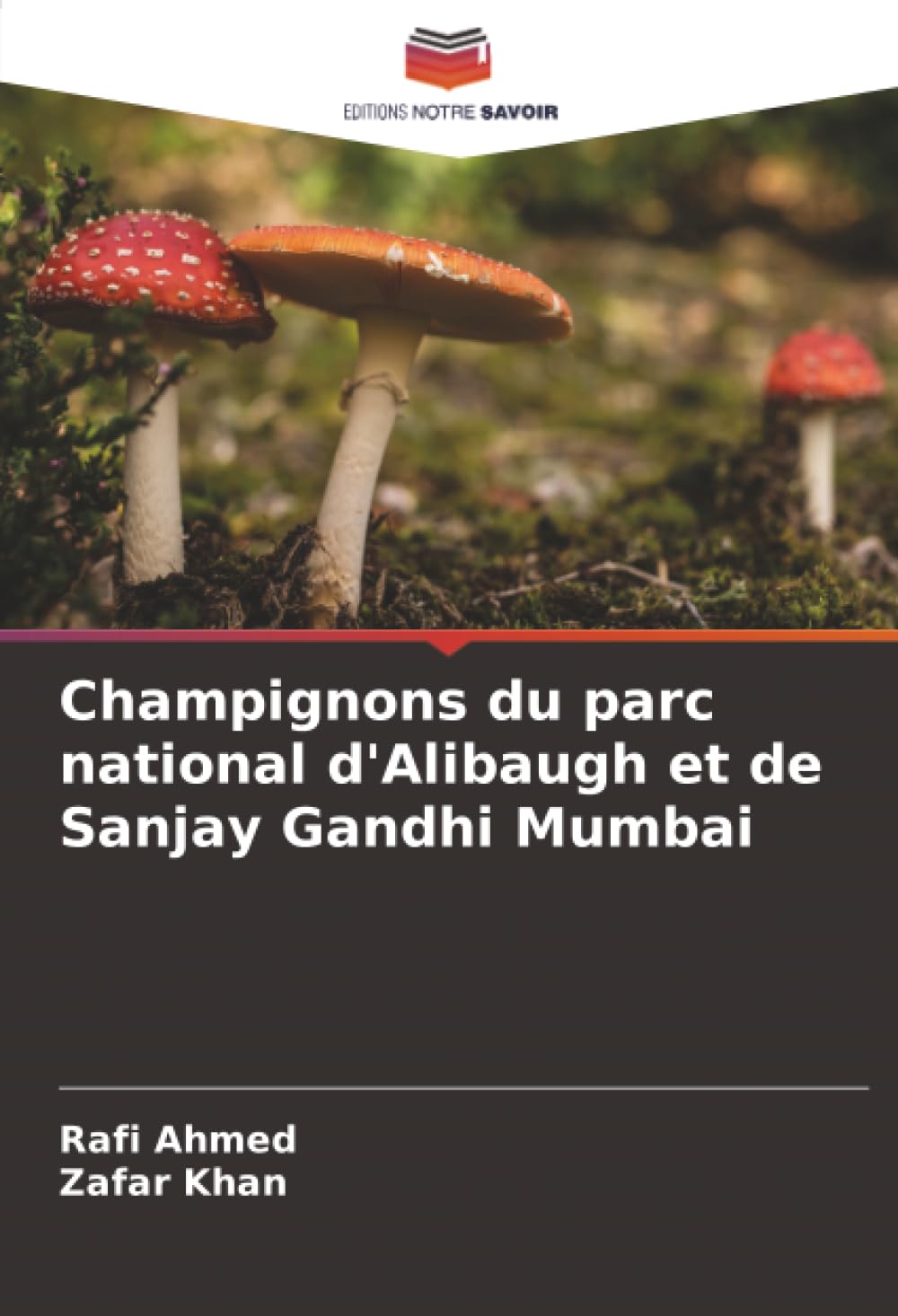 Champignons du parc national d'Alibaugh et de Sanjay Gandhi Mumbai