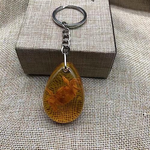 Image of 6Pcs Amber Fossil Keychain Set - Insect Specimen Necklace, Home Decor Collectible, Oval Pendant, Scientific Education Gift