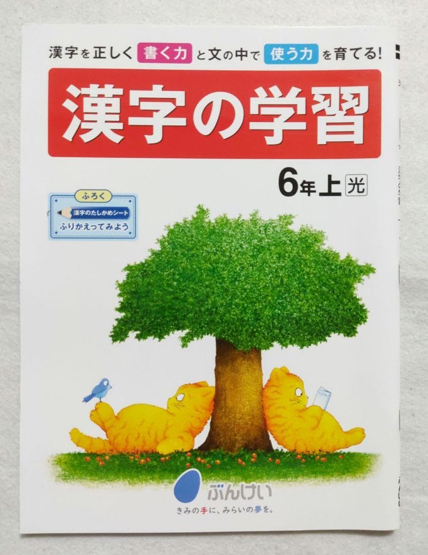 Amazon.co.jp: 6年生 漢字ドリル、漢字ノート、計算ドリル、漢字