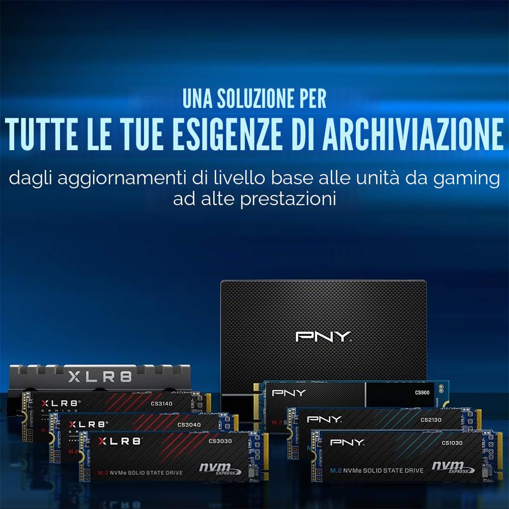 PNY CS1030 250GB M.2 NVMe PCIe Gen3 x4, 2500MB/s Velocità di lettura, 1100MB/s Velocità di scrittura Internal Solid State Drive (SSD)