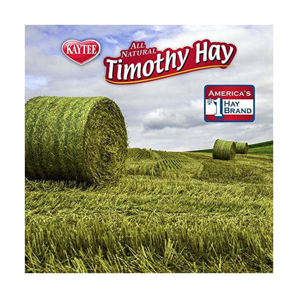 Kaytee timothy hay blend cubes 1 pound - image 7