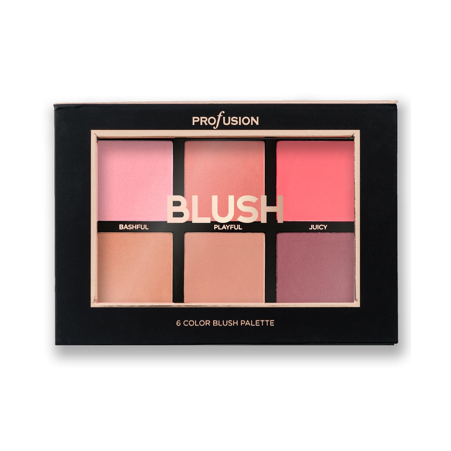 Profusion Cosmetics Blush- 6 color blush palette (Pack of 1)