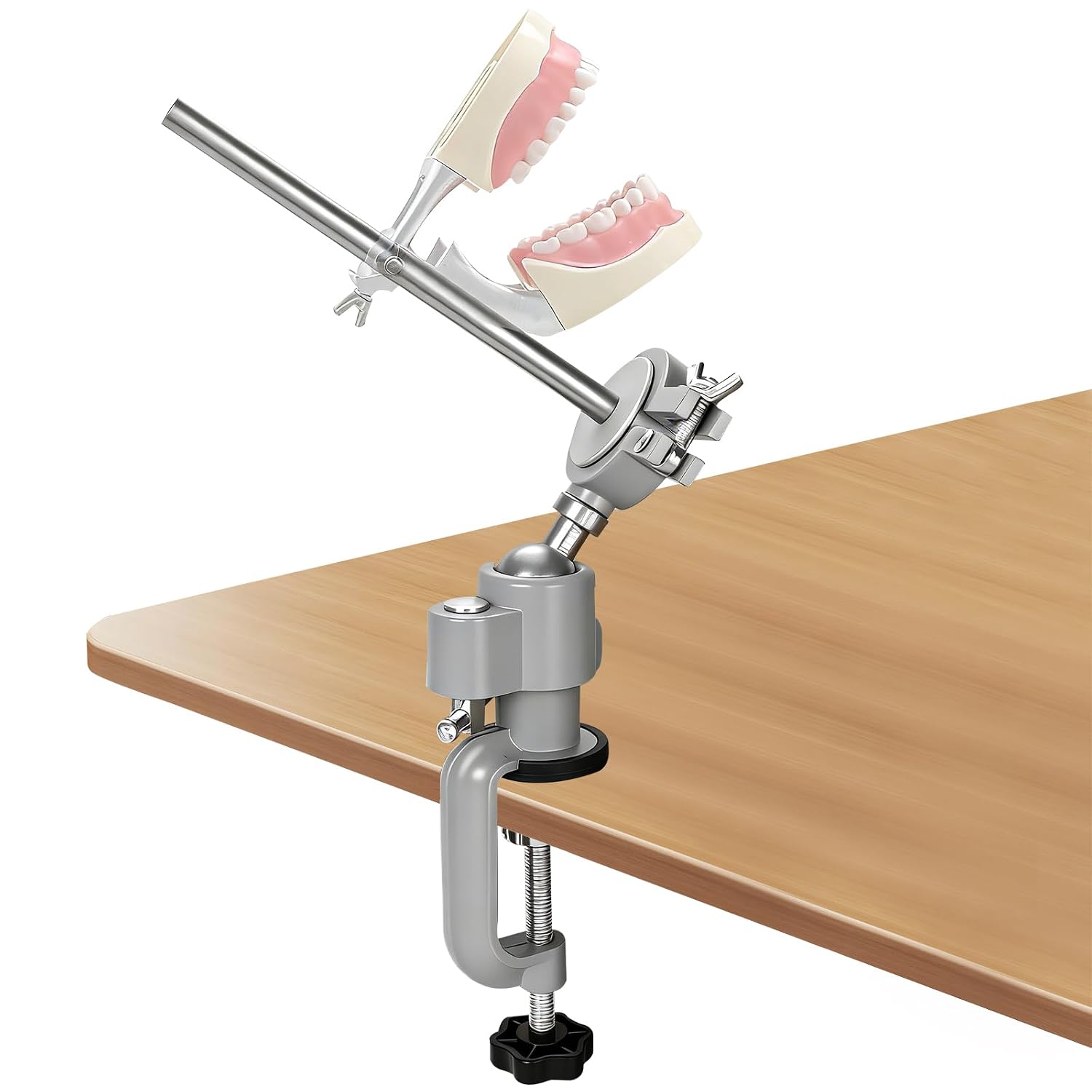 1 pcs Professional Dental Typodont Mount, 360° Rotatable Desk-Mounted Holder with C-Clamp Base, Adjustable Practice Model Stand for Dental Schools