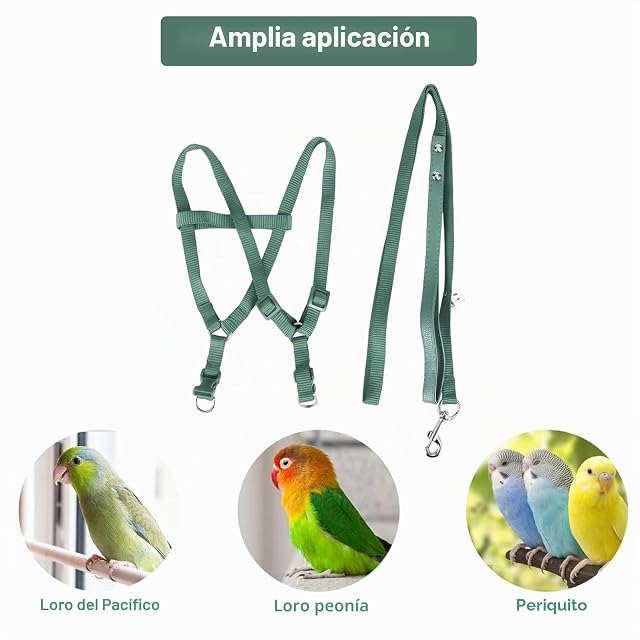 Foto 5 de 8 de Arnés para Loro y Pájaro, Correa Ajustable Antimordeduras en Nailon