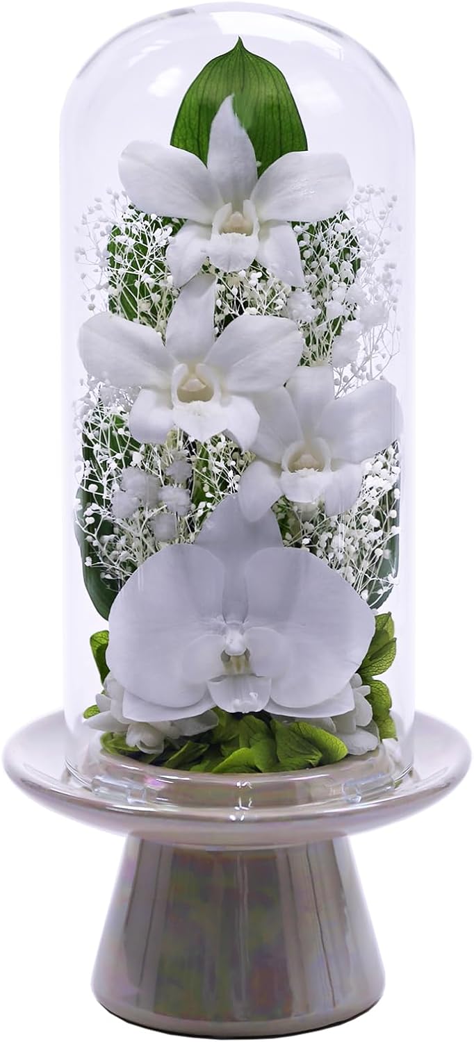 水彩画 諸磯湾からの眺め額縁付き 水彩画 諸磯湾からの眺め額縁付き 水