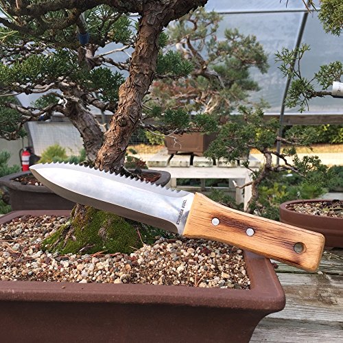 Cuchillo Hori Hori para Jardinería Bonsai Outlet miniatura 4