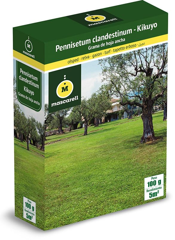Mascarell Semillas, PENISETUM CLANDESTINUM - KIKUYO, Semillas de Césped, Verde y Duradero, Compacto y Resistente, 100g
