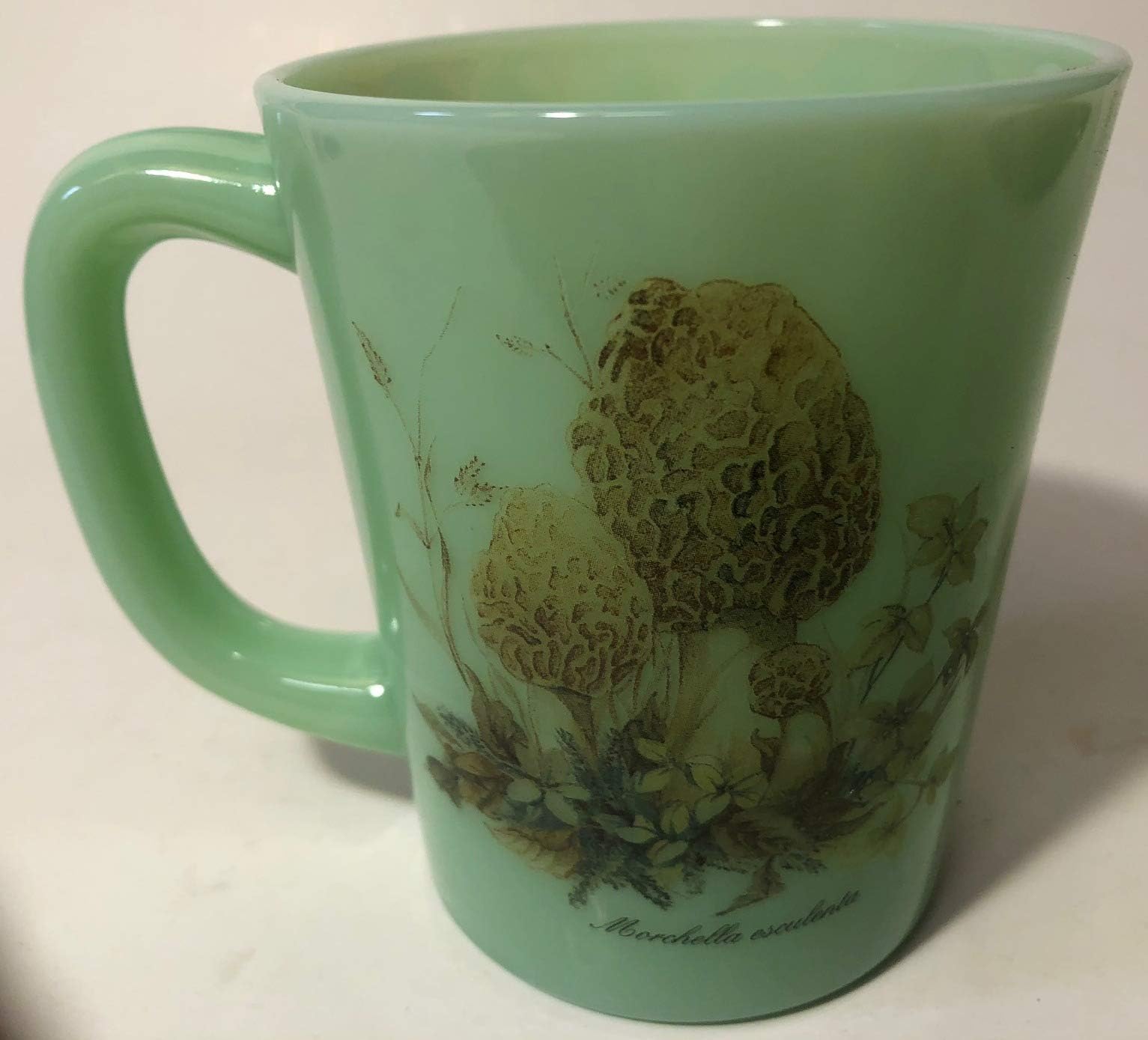 Rosso Glass Coffee Mug - Mushrooms Exclusive - USA - American Made (Morohella esculenta)