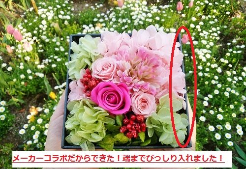 Amazon｜CURAS プリザーブドフラワー 本物たっぷり アミファ