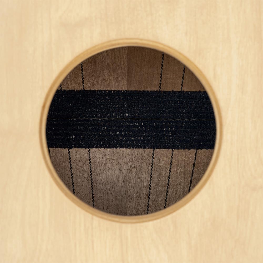 Meinl Percussion Artisan Cajon Instrument/Trommel für Erwachsene/Fortgeschrittene/Profis - Grey Eucalyptus Frontplatte / Korpus aus Baltischer Birke - Kein Cajon Bausatz - Tango Line (AETLGE)