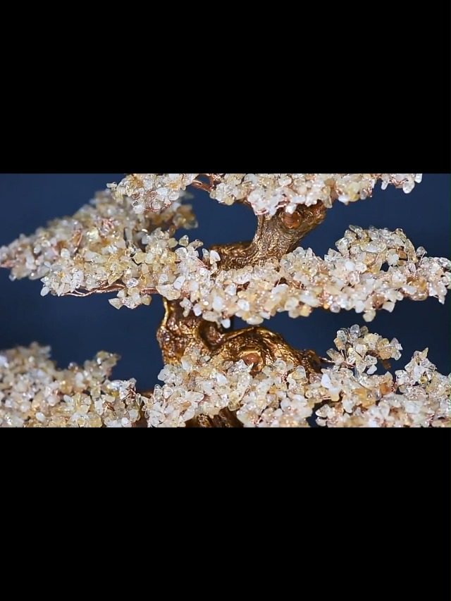 【超美品・招財樹】　シトリン・アメジスト（天然石） imgrc0077016189.jpg