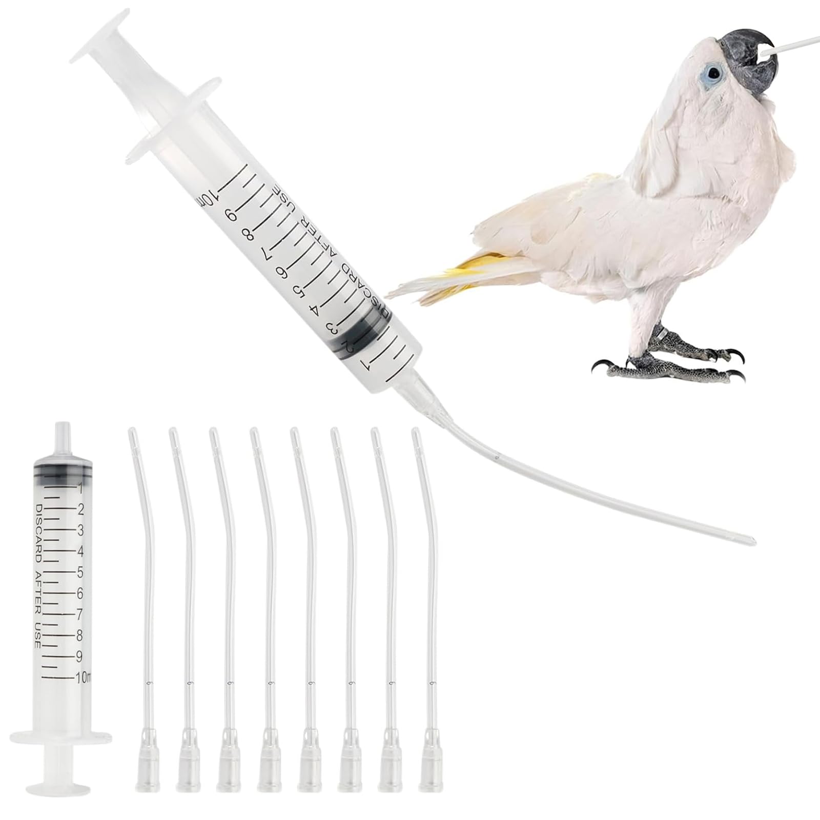 12 Pièces Sondes d'alimentation pour Oisillons, Seringue d'alimentation, Seringue Bébé Oiseau avec 2 Seringues de 10 ML, pour Perroquets, et Petits Animaux pour Jeunes Oiseaux