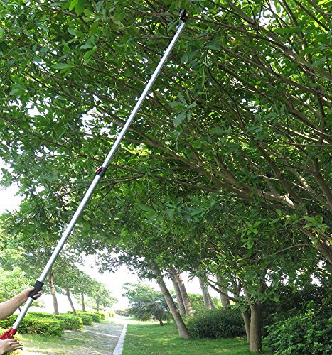 Cortador y podador de árbol extensible 6-10 pies 2 secciones miniatura 6