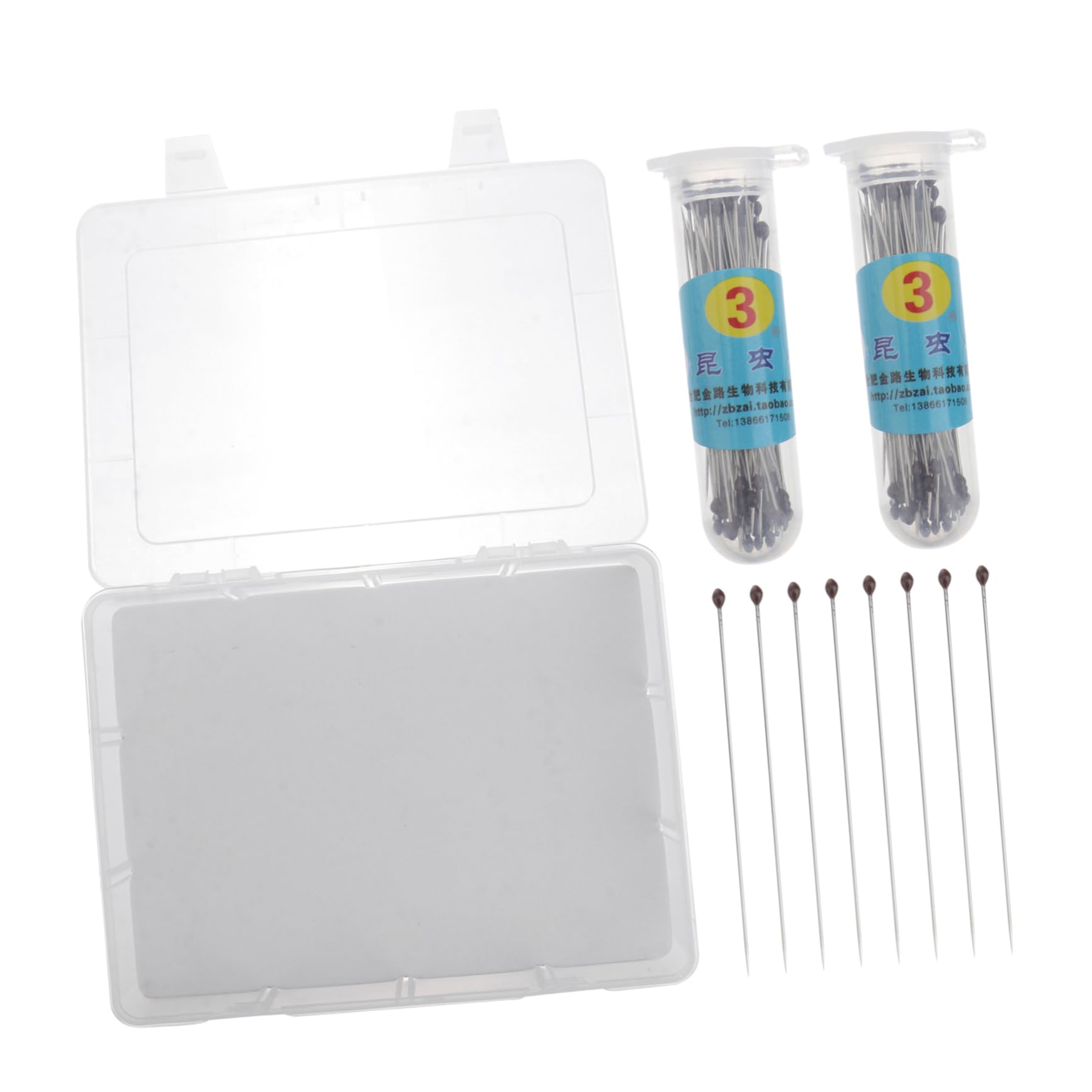 Veemoon 1ensemble Boîte à Spécimens Transparent Kit Affichage Pour Plantes Et Insectes Avec Couvercle Pour Entomologie Collection De Plantes