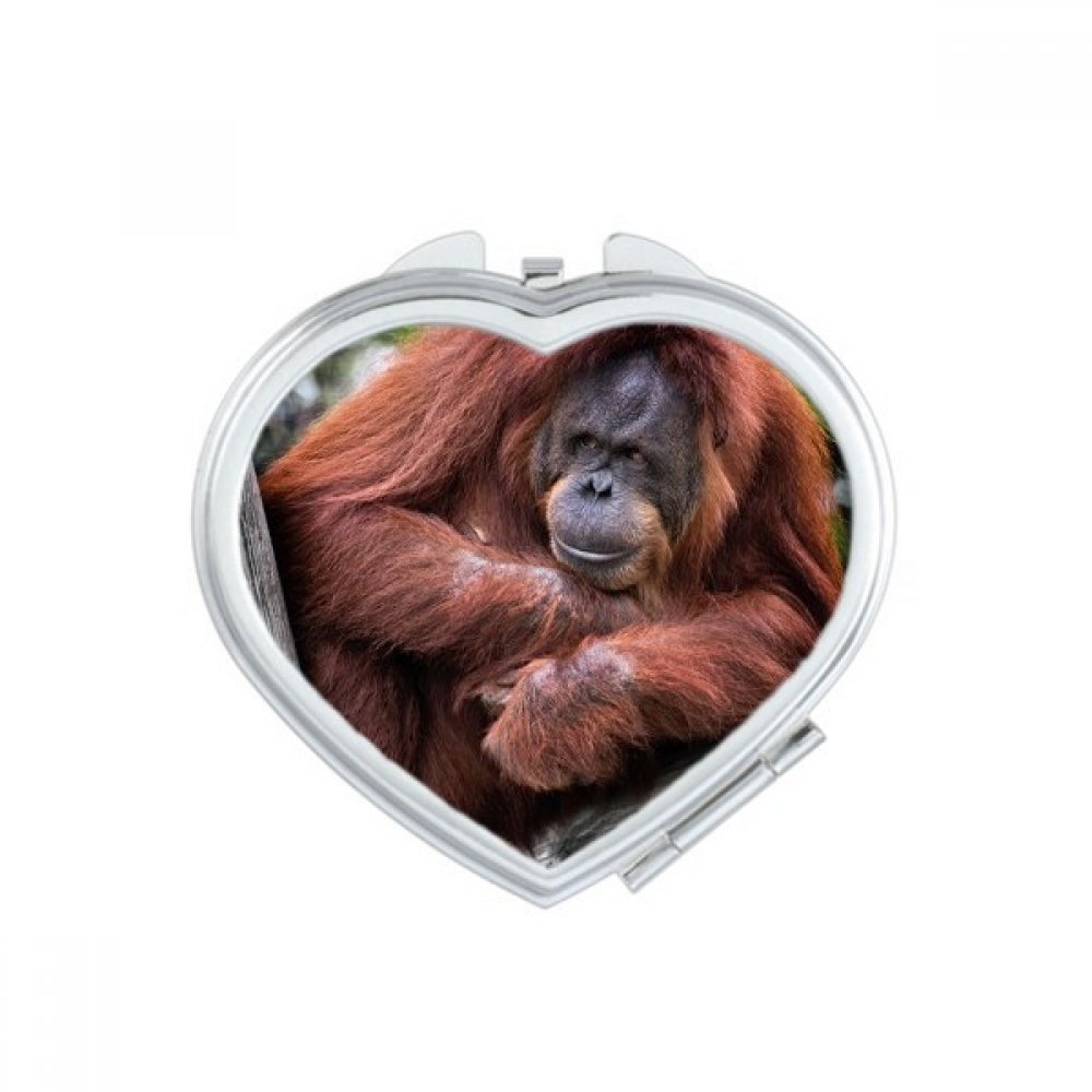 Miroir compact maquillage mignon pour vos retouches express au bureau et lors de vos sorties
